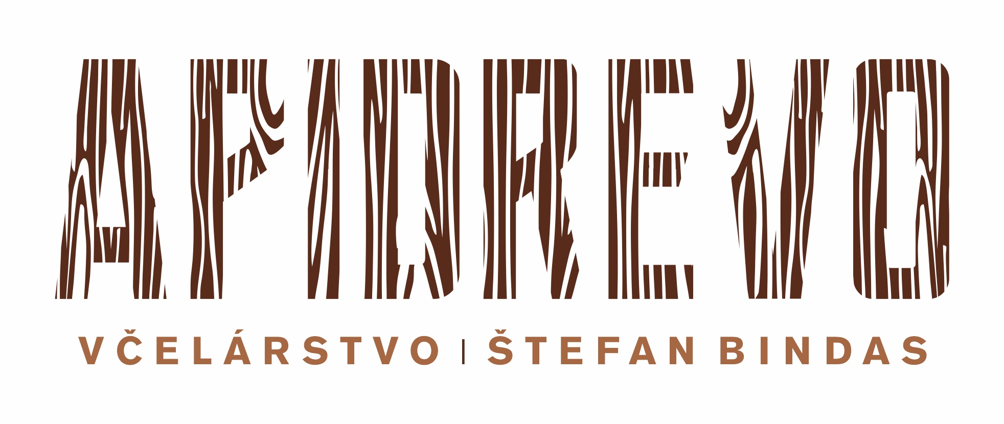 Štefan Bindas APIDREVO
